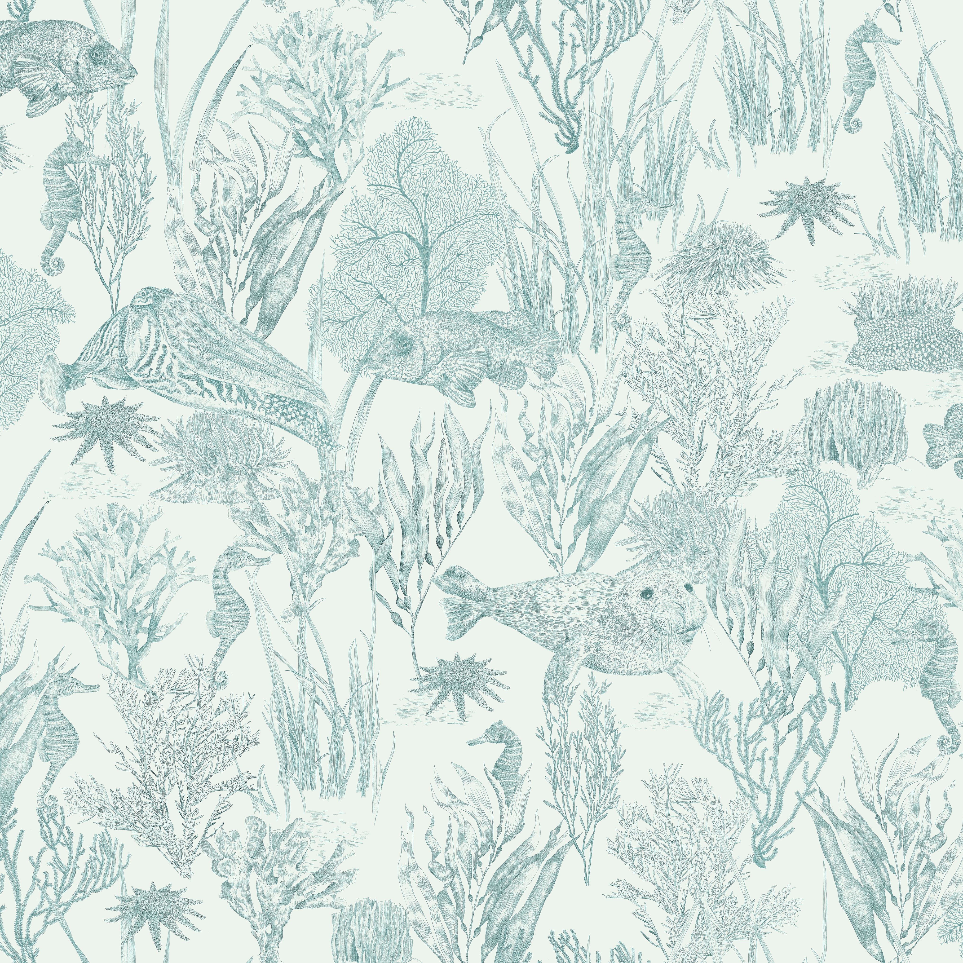 Seaview Collection