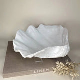 Decorative Shell