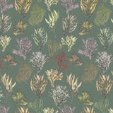 Kelp Forest Wallpaper, Moss Green