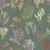 Kelp Forest Wallpaper, Moss Green