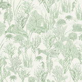 Wallpaper Samples