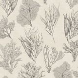 Kelp Forest Wallpaper, Parchment