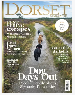 Life Magazines: February 2026