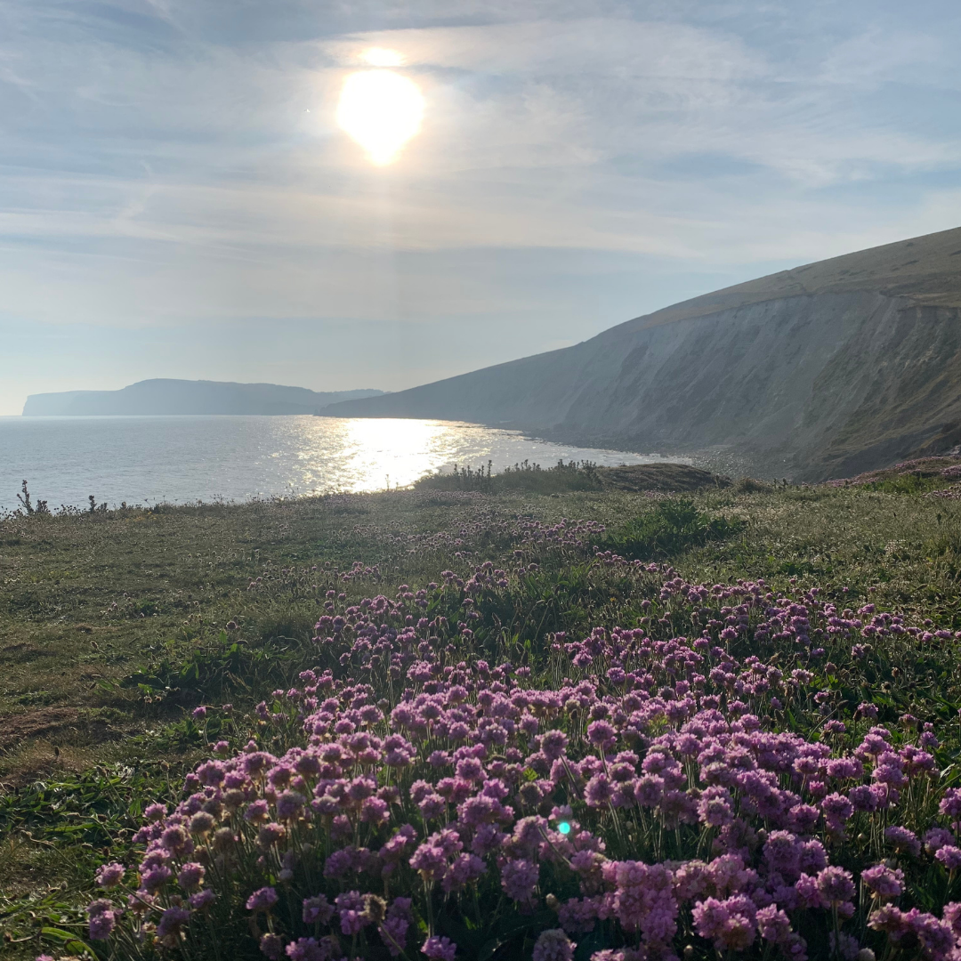 Blog 12: XV HQ: A pause to reflect from XV’s Izzey (May)