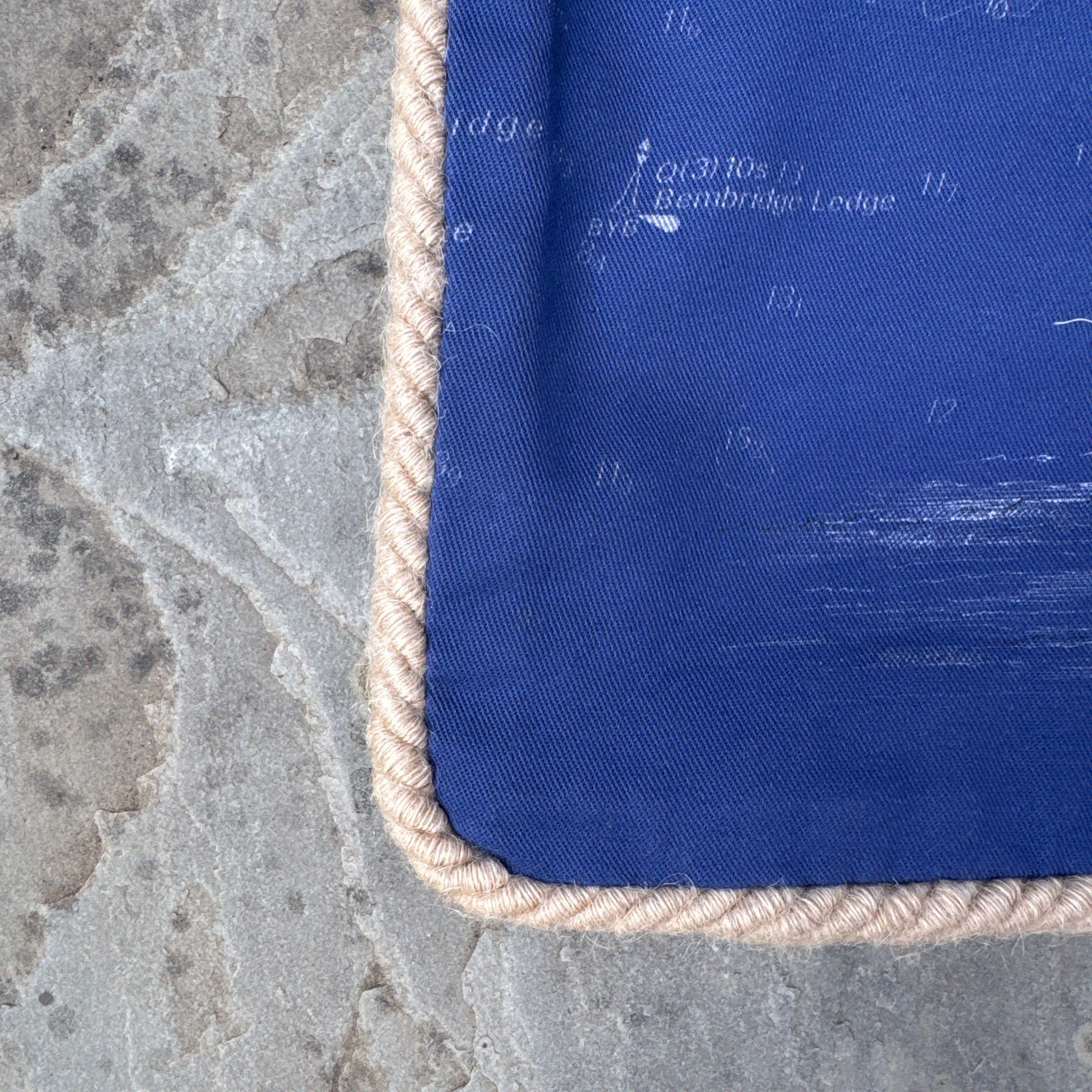Blue Gurnard Oxford Cushion Cover
