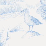 Days Like These, Wallpaper, Cornflower