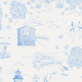 Days Like These, Wallpaper, Cornflower