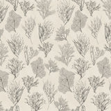 Kelp Forest Wallpaper, Parchment
