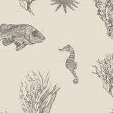 Solent Snapper Wallpaper, Parchment